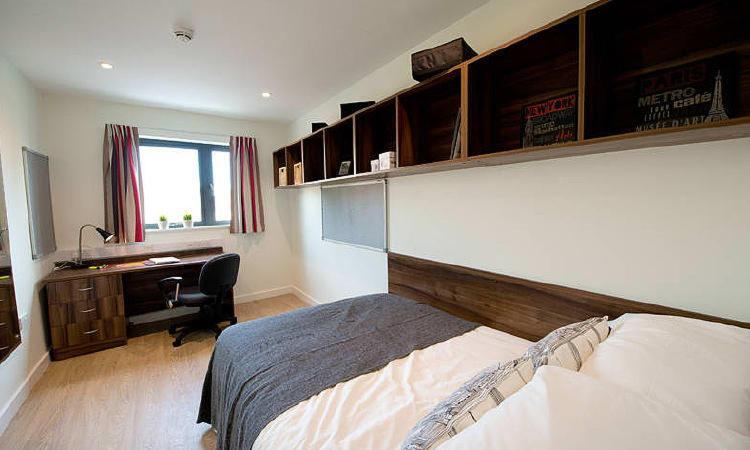 Zeni 3 Bed Apartment In Central Эксетер Экстерьер фото